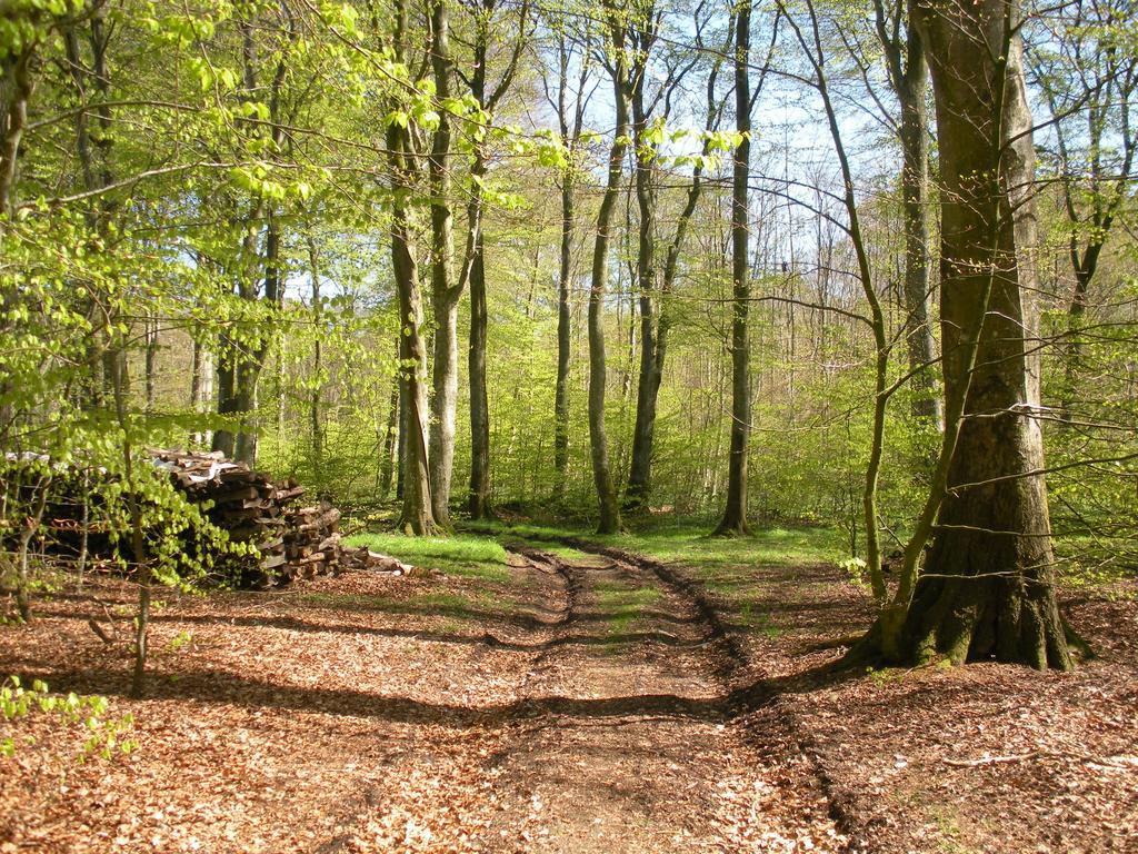 Skyggerslund Bed & Breakfast Flemming Eksteriør bilde