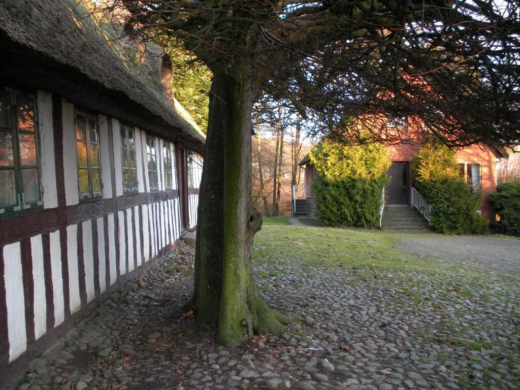 Skyggerslund Bed & Breakfast Flemming Eksteriør bilde