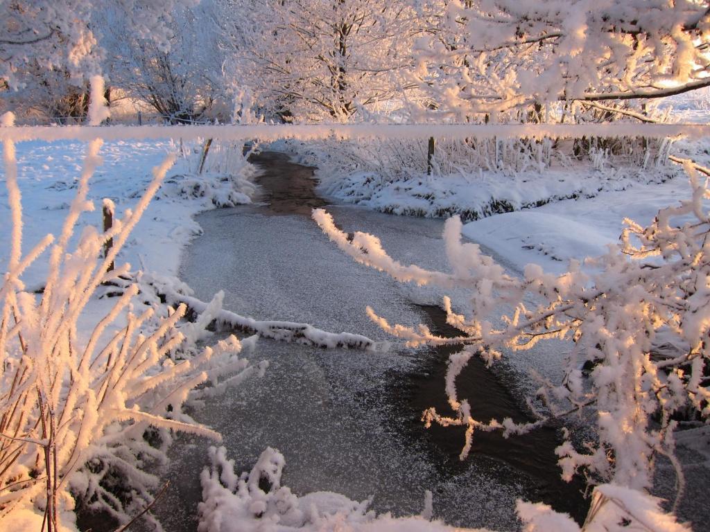 Skyggerslund Bed & Breakfast Flemming Eksteriør bilde