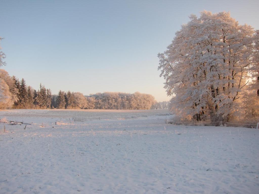 Skyggerslund Bed & Breakfast Flemming Eksteriør bilde